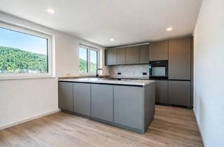 Penthouse mieten in 74821 Mosbach, Haustiere willkommen - Traumhafte und luxuriöse 2-Zimmer-Penthouse-Wohnung mitten in Mosbach