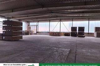 Gewerbeimmobilie mieten in 95707 Thiersheim, Große Lagerhalle mit guter Anbindung zur Autobahn