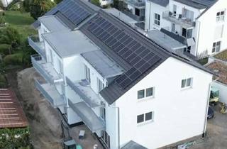 Wohnung mieten in Lange Straße 73, 78256 Steißlingen, Erstbezug: großzügige 3,5 Zimmer-Wohnung (KfW40 QNG) mit Balkon und Garage