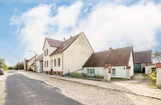 Bauernhaus kaufen in 14929 Treuenbrietzen, Bauernhaus mit Scheune und Weitblick – ein Anwesen für Menschen mit Ideen