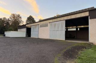 Gewerbeimmobilie mieten in 53881 Euskirchen, Lagerhalle Mehrzweckhalle 756 m², Euskirchen, A1 in 3 Min.