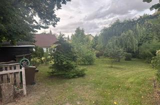 Immobilie kaufen in 18516 Süderholz, Ruhiges, attraktives Bauland in Süderholz !