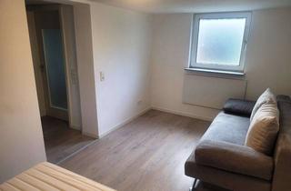 Wohnung mieten in Ringstraße 11, 74937 Spechbach, teilmöblierte 1 Zimmer-Wohnung