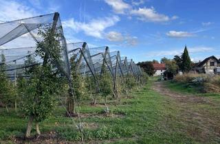 Grundstück zu kaufen in 88074 Meckenbeuren, Top Bauplatz für eine DHH zwischen Ravensburg und Friedrichshafen