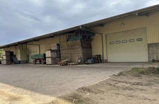 Gewerbeimmobilie mieten in Wormser Str., 67591 Offstein, Großzügige Lagerhalle mit Außenfläche an der L395 zu vermieten