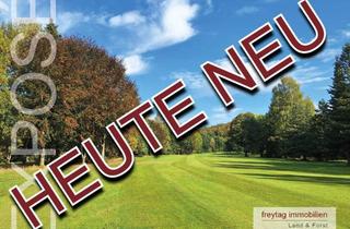 landwirtschaftliche Fläche kaufen in Weißenfeld, 37647 Polle, Agrarfläche - Teil des Golfplatzes in Polle- zu verkaufen.