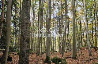 Grundstück zu kaufen in 91327 Gößweinstein, Wald bei Gössweinstein zu verkaufen !