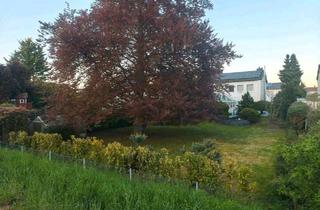 Einfamilienhaus kaufen in 68623 Lampertheim, Lampertheim - Einfamilienhaus*Top Lage direkt am Altrhein*