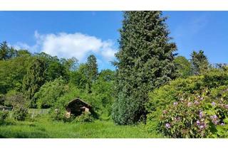 Einfamilienhaus kaufen in 37441 Bad Sachsa, Bad Sachsa - Einfamilienhaus mit Garten