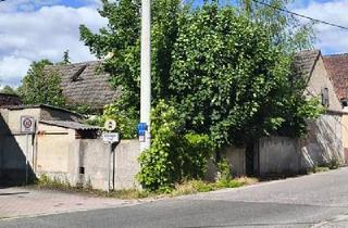 Grundstück zu kaufen in 04509 Schönwölkau, Schönwölkau - GRÜN, RUHIG UND IDYLLISCH - MIT ALTBESTAND