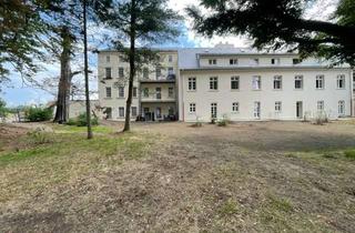 Wohnung mieten in Radeberger Str. 56a, 01900 Großröhrsdorf, SCHÖNE 2 Zimmerwohnung mit Vinyl, Einbauküche und Terrasse mit Gartenzugang