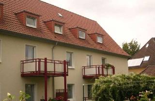 Wohnung mieten in Damaschkestraße 48, 32049 Herford, Charmante 2-Zimmer-Altbauwohnung mit Tageslichtbad in Herford
