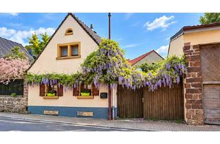 Einfamilienhaus kaufen in Hauptstraße, 67308 Biedesheim, Renoviertes Einfamilienhaus mit 3 Zimmern in Biedesheim