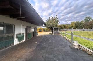 Einfamilienhaus kaufen in 93326 Abensberg, Paradies für Mensch&Tier II,Hofstelle: Einfamilienhaus mit Stall+Reitplatz80km nördl. Flugh.Münche