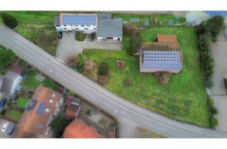 Gewerbeimmobilie kaufen in 67229 Großkarlbach, Vielseitiges Anwesen mit Wohnhaus, Lagerhallen & großem Hof