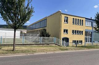 Gewerbeimmobilie mieten in Weimarische Straße 56b, 99326 Stadtilm, Industriehalle mit 2.167 m² Nutzfläche in Stadtilm