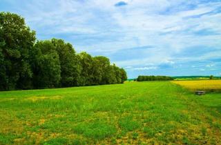 Grundstück zu kaufen in 86669 Königsmoos, 2.980 m² für Ihr Bauvorhaben