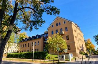 Wohnung kaufen in Salzstraße 65, 09113 Schloßchemnitz, Neu verlieben auf dem Schloßberg – Erstbezug nach Sanierung in grüner Bestlage!