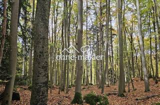 Grundstück zu kaufen in 91327 Gößweinstein, Wald bei Gössweinstein zu verkaufen !