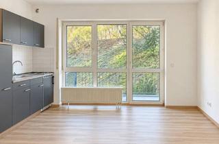 Wohnung mieten in Hauptstraße 106, 97941 Tauberbischofsheim, +++Frisch sanierte 1 Zi. Wohnung mit Balkon und Garage+++