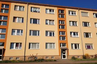 Wohnung mieten in Westerhäuser Straße 57, 38820 Halberstadt, 2-Raum-Wohnung zu vermieten im 3. OG in Halberstadt