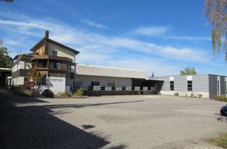 Gewerbeimmobilie kaufen in 72213 Altensteig, Logistik- und Gewerbeimmobilie mit Büroflächen und großzügigen Freiflächen