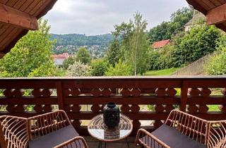 Immobilie mieten in 06526 Sangerhausen, Wohnen auf Zeit im Grünen – möbliertes Haus für 1–3 Personen mit Garten, Balkon und Terrasse
