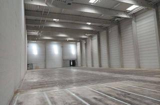 Lager mieten in 73760 Ostfildern, ***IMMO-DIREKT***LOGISTIKHALLE***BIS ZU 12 m***