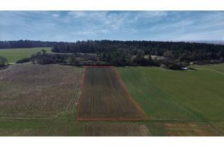 landwirtschaftliche Fläche kaufen in 85113 Böhmfeld, Ackerland in Böhmfeld - 8.840 m²