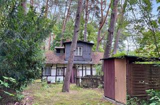 Immobilie kaufen in 14822 Borkwalde, Waldgrundstück in Ruhiglage von Borkwalde: Großes Grundstück mit Altbestand sucht neuen Liebhaber