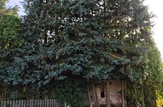 Haus kaufen in 36326 Antrifttal, Antrifttal - Attraktives Baugrundstück mit Altbestand in 36326 Antrifftal OT.