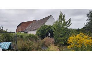 Einfamilienhaus kaufen in 39167 Niederndodeleben, Hohe Börde - Einfamilienhaus in Ochtmersleben zu verkaufen