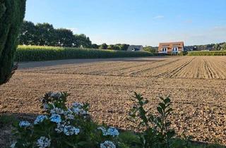 Einfamilienhaus kaufen in 49497 Mettingen, Mettingen - Idyllisches Landhaus in Mettingen - Ihr Rückzugsort im Grünen