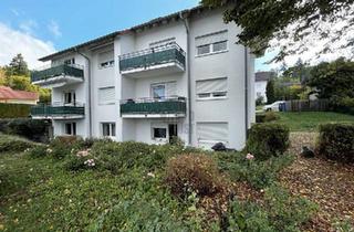 Haus kaufen in 74743 Seckach, Seckach - 8 Familienhaus in Seckach, Aufteilung in ETW vorbereitet
