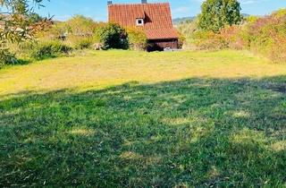 Einfamilienhaus kaufen in 37574 Einbeck, Einbeck - Immobilie für Individualisten, Tierhalter oder Naturfreunde
