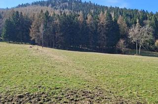 Haus kaufen in 02799 Waltersdorf, Großschönau - Wohnen Wo andere Urlaub machen