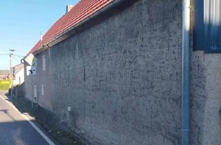 Haus kaufen in 04874 Belgern, Belgern-Schildau - Grundstück mit zwei Häusern