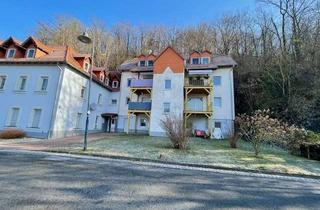 Wohnung mieten in Haingasse 70, 04680 Colditz, Große 4-Zimmer-Wohnung direkt an der Mulde * ab 15.01.2027 *