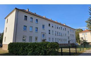 Wohnung mieten in 15713 Königs Wusterhausen, Freundliche frisch renovierte 2-Zimmer- Wohnung