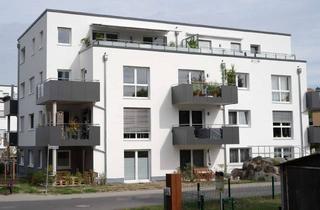 Wohnung mieten in 63691 Ranstadt, Moderne, schwellenfreie 2-Zimmer-Wohnung in Ranstadt