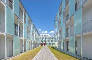 Wohnung mieten in Olewiger Straße, 54295 Trier, Apartment an den Kaiserthermen, ab 01.12. verfügbar
