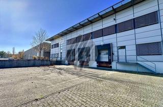 Büro zu mieten in 34225 Baunatal, KEINE PROVISION ✓ SCHNELL VERFÜGBAR ✓ Lagerflächen (15.000 m²) & Büro (500 m²)