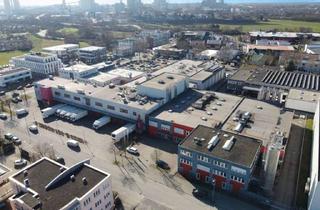 Anlageobjekt in 68219 Rheinau, Flexibel nutzbare Gewerbeliegenschaft im bevorzugten Gewerbegebiet