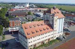 Anlageobjekt in 04808 Wurzen, Getreidespeicher in der Ringelnatzstadt Wurzen