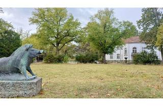 Grundstück zu kaufen in 14195 Schmargendorf, Für Ihr Traumhaus: Sonniges Grundstück gelegen zwischen Dahlem, Grunewald und Schmargendorf