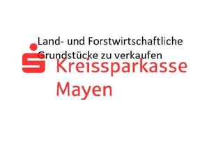 Gewerbeimmobilie kaufen in 56761 Kaifenheim, Landwirtschaftliches Grundstück in Kaifenheim
