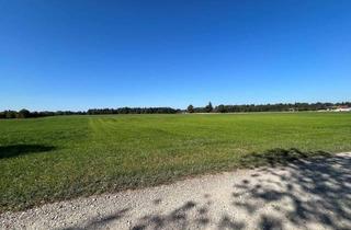 Gewerbeimmobilie kaufen in 83109 Großkarolinenfeld, Grünland