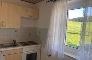 Wohnung mieten in Spielhof, 92714 Pleystein, Ruhige 2-Zimmer-Pendlerwohnung mit großem Balkon