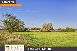 Haus kaufen in 23974 Krusenhagen, +++Großzügiger Landsitz nahe Ostsee mit 33.000 m² Gesamtfläche – Ideal für Pferdehaltung+++