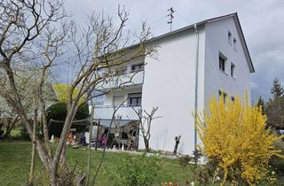 Wohnung mieten in 76833 Walsheim, Landau- Walsheim: Energetisch sanierte, moderne, helle, ruhige 44m² Wohnung in 4-Familienhaus